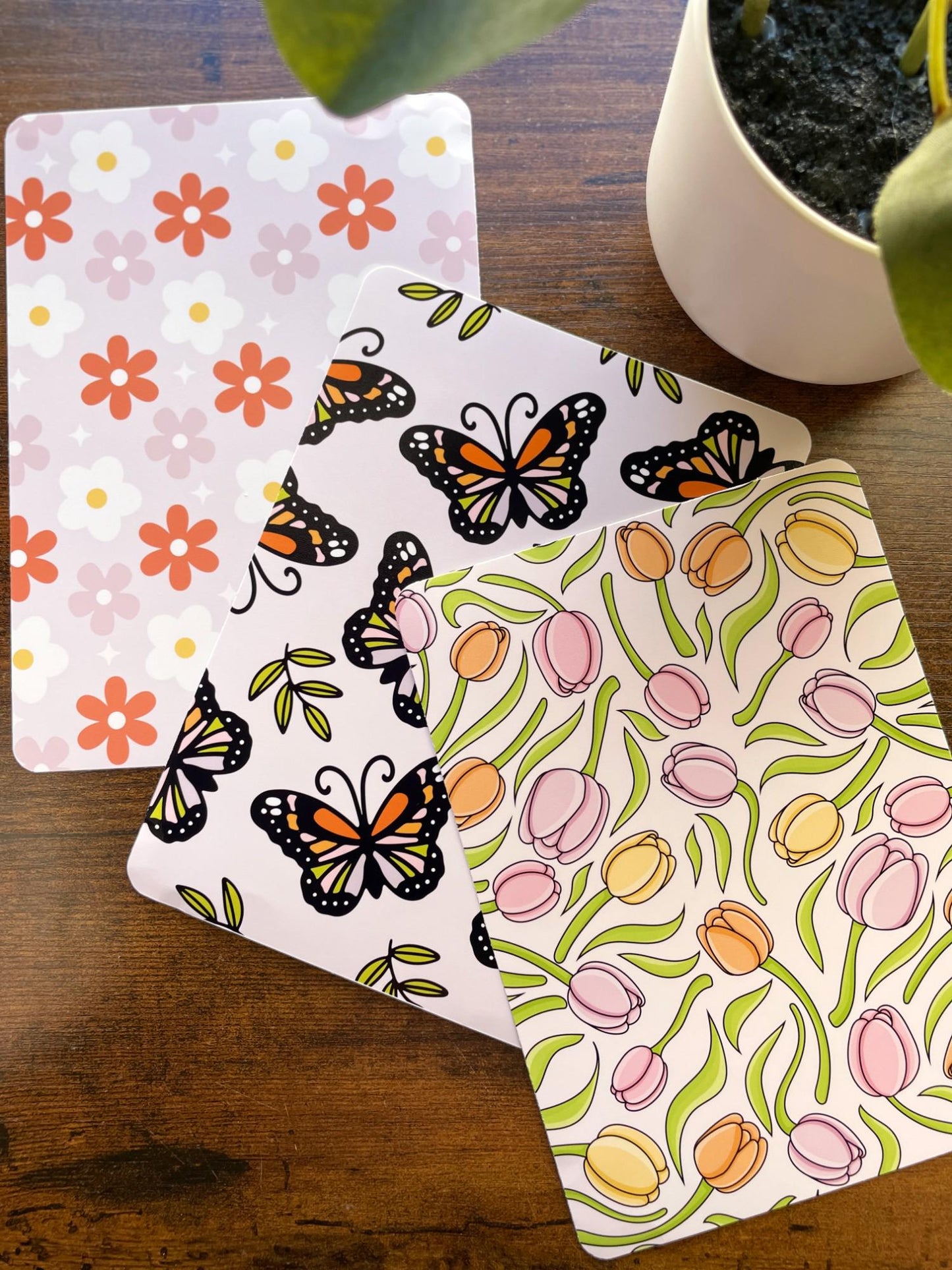 a potted plant sitting next to two butterfly coasters